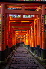 Red toriis in Fushimi near Kyoto (Japan)