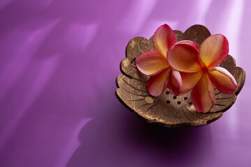 bunch of frangipani flowers