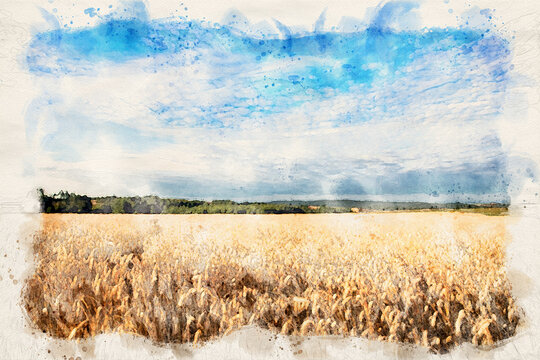 Beautiful cloudy sky over summer fields - waterpaint