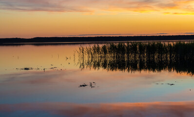 Lahemaa National Park, Estonia,. The largest park in Estonia. It was the first national park of the former Soviet Union.