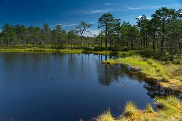 Lahemaa National Park, Estonia,. The largest park in Estonia. It was the first national park of the...