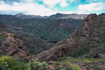 Fototapeta na wymiar Landscape of a lake among the hills in Gran Canaria Island with rocks, bushes, different type of flowers, trees and cloudy sky mixed with intense blue color