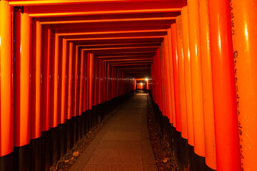 Red toriis in fushimi near Kyoto (Japan)