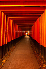 Fototapeta premium Red toriis in fushimi near Kyoto (Japan)