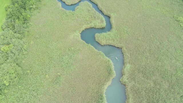Faaker See with Schilf-M&auml;ander in Carinthia, Austria