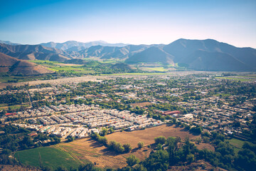 Vicuña from above