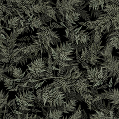 seamless botanical pattern with fern leaves on vector. Floral black background with fern leaf