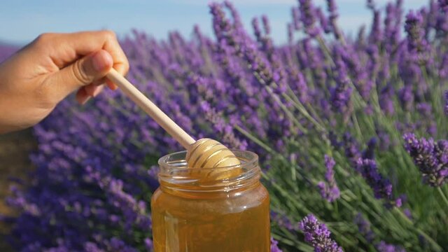 Slow motion - Female hands dipping wooden spoon into lavender honey harvested in Provence, France. Close up of honey dripping with a background of lavender flowers