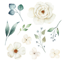 Watercolor white flower and greenery leaves set. Hand painted clipart.