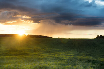 Naklejka na ściany i meble Rural landscape. Golden sunset over the field. The sun's rays and huge storm clouds create an incredible mood. Horizontal photo