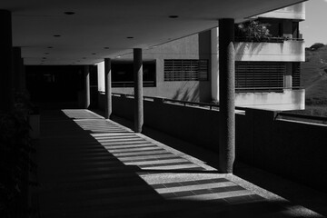 Architectural Black and White