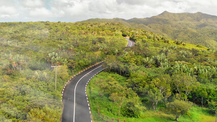 Aerial view of beautiful island forest and road