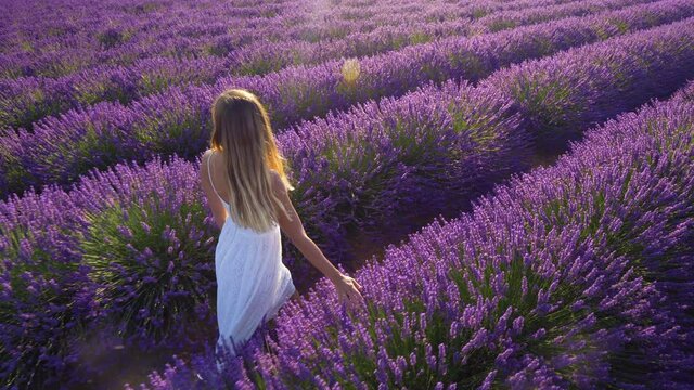Slow motion - Young woman in a white dress walking through lavender field, touching plants and turning around. Happy beautiful girl spinning in Provence, France at sunset
