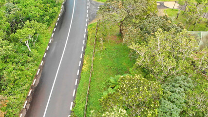 Aerial view of beautiful island forest and road