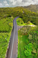 Aerial view of beautiful island forest and road
