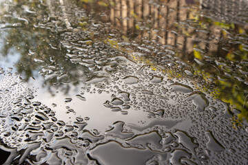 water drops on glass