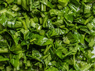 green leaves background