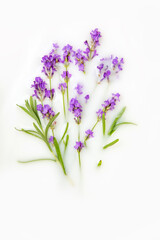 Lavender flowers and leaves in a milk bath. Greeting card. Copy space, flat lay.