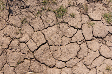 dry cracked earth