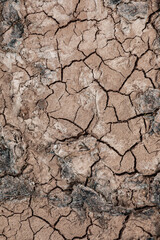 dry and cracked soil crust