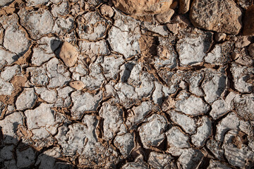 dry and cracked soil crust