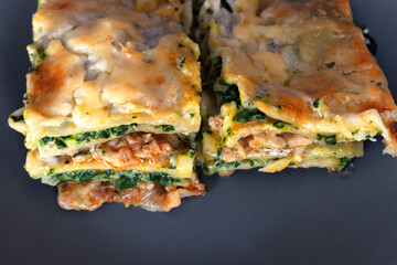 slice of lasagna isolated on gray background