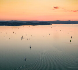 Obraz na płótnie Canvas Sailing boats at Lake Balaton