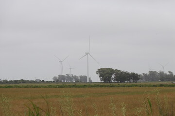 Park of wind power generators - Clean energy