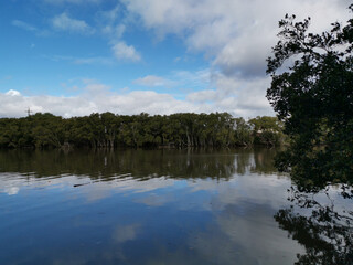 Beautiful view of a river with reflections of blue sky, light clouds and trees on water, Parramatta river, Rydalmere, New South Wales, Australia