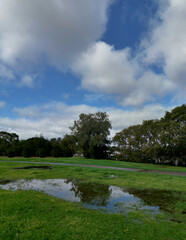 Beautiful view of a park with green grass and reflections of trees and sky on water puddle, Reid Park, Rydalmere, New South Wales, Australia