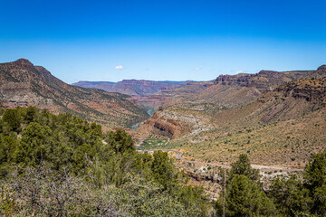 Salt River Canyon Wilderness