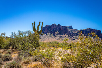 Apache Trail Scenic Drive View