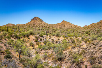 Fototapeta na wymiar Apache Trail Scenic Drive View