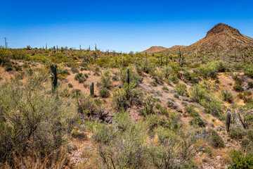 Apache Trail Scenic Drive View