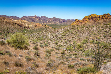 Apache Trail Scenic Drive View