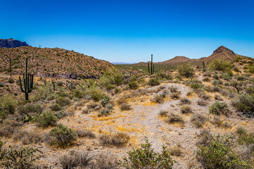 Apache Trail Scenic Drive View
