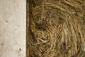 hay stored in a shed in the countryside