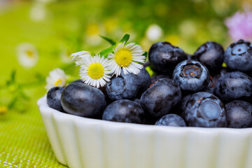 Delicious blueberries in white bowl with flowers on green background.