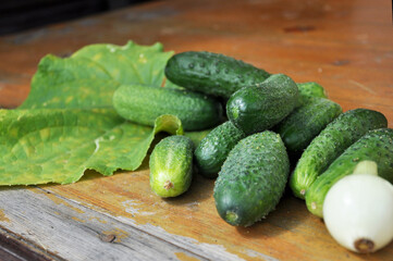 vegetables on wooden desk, end of season, selected focus