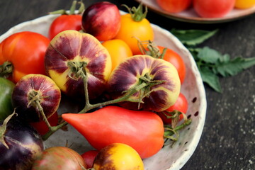 Rare varieties of multi-colored tomatoes on a plate close-up, selective focus.