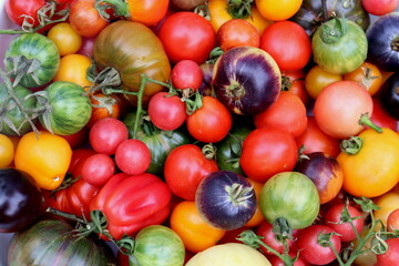 Rare varieties of multi-colored tomatoes on a plate close-up, selective focus.