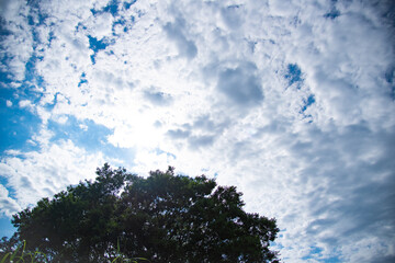 Fototapeta premium 空
