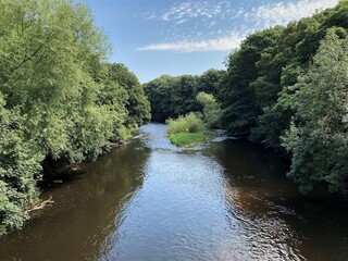 View from the bridge at Carlverley, of the river Wharfe, as it makes its way towards Leeds