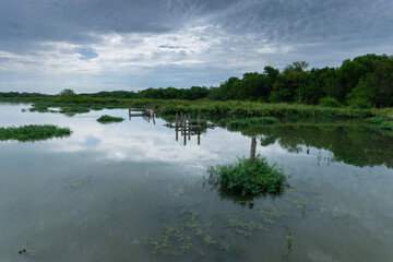 Marshy area of lake with abandoned dock