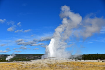 geyser in yellowstone national park