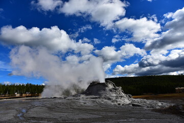 geyser in yellowstone national park