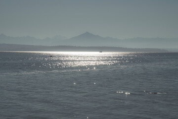 2020-08-01 LOOKING EAST AT THE PUGET SOUND ON A FOGGY MORNING FROM WIDBEY ISLAND WASHINGTON