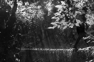 THIS A RIVER IN AMAPOR&Atilde; PARAN&Aacute; BRAZIL