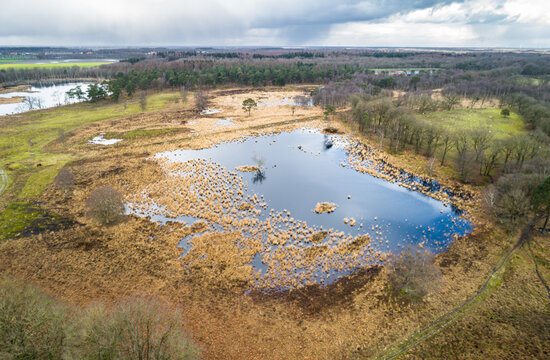 Aerial view of small lakes and forest, Ter Borg, Groningen, Netherlands