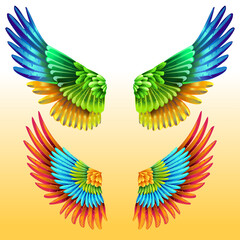 Fototapeta na wymiar Pair of bright Colorful Wings
